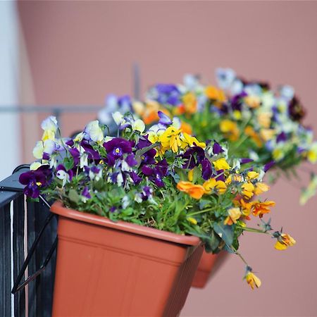 Il Giardino Segreto Bed & Breakfast Sorrento Bagian luar foto