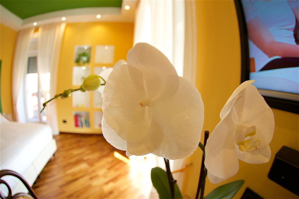 Il Giardino Segreto Bed & Breakfast Sorrento Bagian luar foto