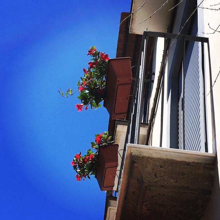 Il Giardino Segreto Bed & Breakfast Sorrento Bagian luar foto