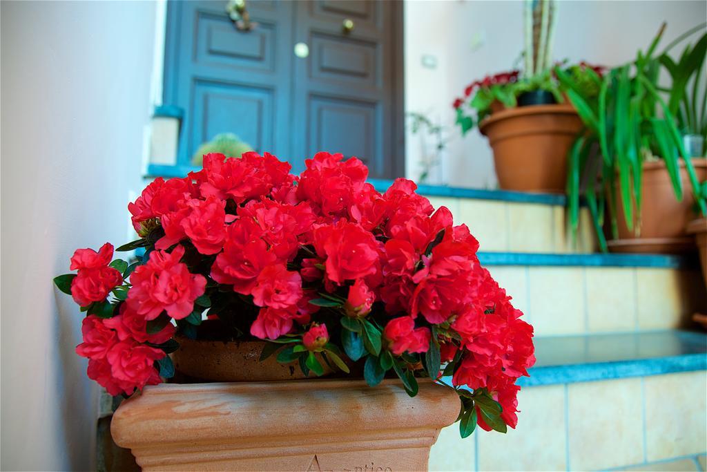 Il Giardino Segreto Bed & Breakfast Sorrento Bagian luar foto