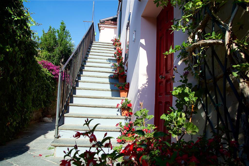 Il Giardino Segreto Bed & Breakfast Sorrento Bagian luar foto