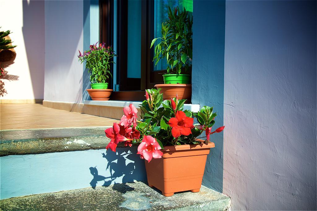 Il Giardino Segreto Bed & Breakfast Sorrento Bagian luar foto