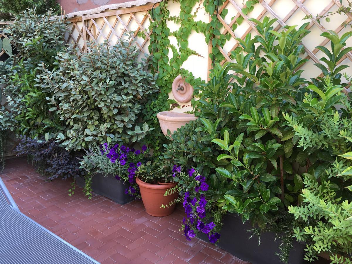 Il Giardino Segreto Bed & Breakfast Sorrento Bagian luar foto
